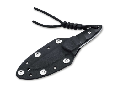 B�ker Plus Pollywog